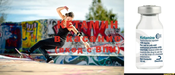 стаф Богданович
