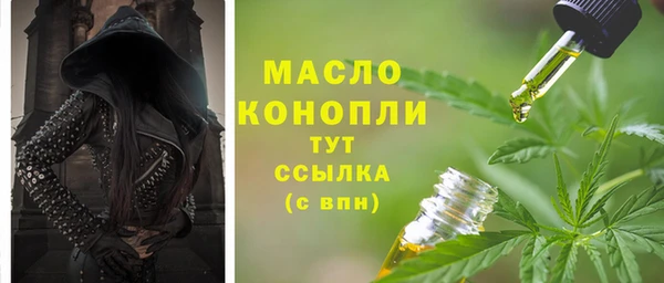 стаф Богданович