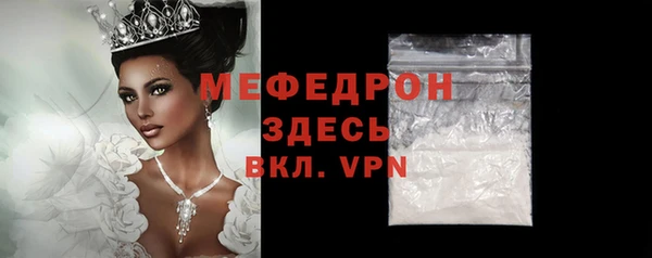 стаф Богданович