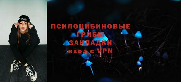 стаф Богданович