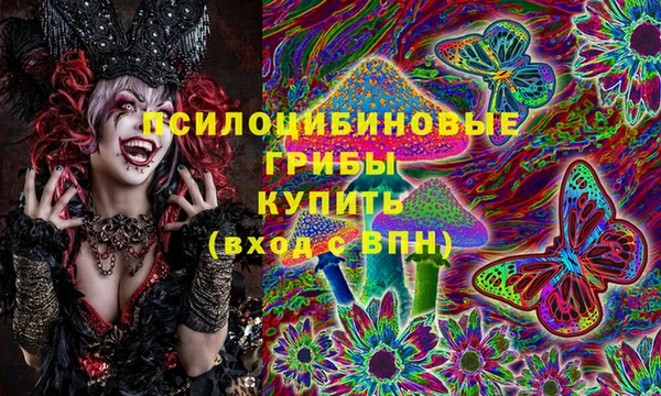 стаф Богданович