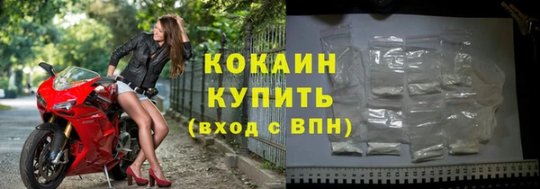 стаф Богданович