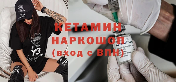 стаф Богданович
