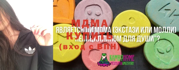 стаф Богданович